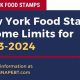 NY Food Stamp Income Limits & Eligibility 2024 | Old Stamp Collecting Guide: Discover, Value & Preserve Vintage Stamps