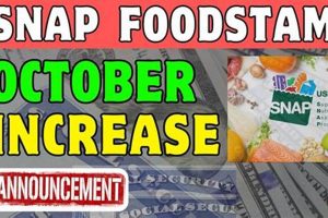 SNAP Benefits 2025: Will Food Stamps Increase? | Old Stamp Collecting Guide: Discover, Value & Preserve Vintage Stamps