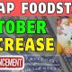 SNAP Benefits 2025: Will Food Stamps Increase? | Old Stamp Collecting Guide: Discover, Value & Preserve Vintage Stamps