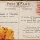 Modern Postcard Wedding Invitations & RSVP | Old Stamp Collecting Guide: Discover, Value & Preserve Vintage Stamps