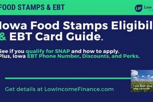 Iowa Food Stamp Guide & Application Old Stamp Collecting Guide: Discover, Value & Preserve Vintage Stamps Iowa Food Stamp Guide & Application | Old Stamp Collecting Guide: Discover, Value & Preserve Vintage Stamps