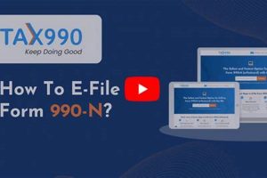 E-file 990 Postcard Online: Easy & Quick Old Stamp Collecting Guide: Discover, Value & Preserve Vintage Stamps E-file 990 Postcard Online: Easy & Quick | Old Stamp Collecting Guide: Discover, Value & Preserve Vintage Stamps