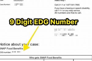 Your DSS Food Stamp Number: A Guide | Old Stamp Collecting Guide: Discover, Value & Preserve Vintage Stamps