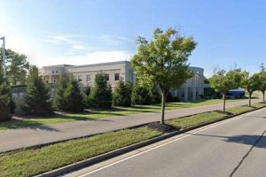 Boone County KY Food Stamp Office: Your Guide &amp; Resources | Old Stamp Collecting Guide: Discover, Value & Preserve Vintage Stamps