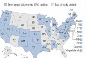 Understanding the Food Stamp Asset Test Limits | Old Stamp Collecting Guide: Discover, Value & Preserve Vintage Stamps
