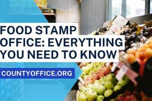 Find Your Lubbock Food Stamp Office Location | Old Stamp Collecting Guide: Discover, Value & Preserve Vintage Stamps