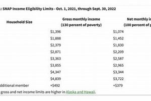 Nebraska Food Stamp Income Guidelines 2024 | Old Stamp Collecting Guide: Discover, Value & Preserve Vintage Stamps