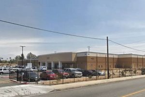 Find San Angelo Food Stamp Office Locations Old Stamp Collecting Guide: Discover, Value & Preserve Vintage Stamps Find San Angelo Food Stamp Office Locations | Old Stamp Collecting Guide: Discover, Value & Preserve Vintage Stamps