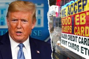 Trump Food Stamp | Old Stamp Collecting Guide: Discover, Value & Preserve Vintage Stamps