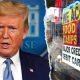 Trump Food Stamp | Old Stamp Collecting Guide: Discover, Value & Preserve Vintage Stamps