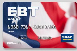 Lost EBT Card GA: Quick Replacement Guide | Old Stamp Collecting Guide: Discover, Value & Preserve Vintage Stamps