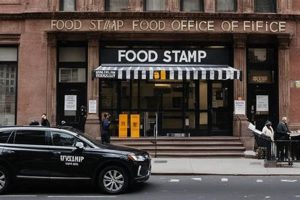Find Food Stamp Offices in Brooklyn, NY | Old Stamp Collecting Guide: Discover, Value & Preserve Vintage Stamps