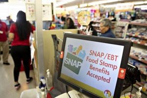 NJ SNAP Food Stamp Program Guide & Benefits Old Stamp Collecting Guide: Discover, Value & Preserve Vintage Stamps NJ SNAP Food Stamp Program Guide & Benefits | Old Stamp Collecting Guide: Discover, Value & Preserve Vintage Stamps