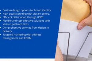 Bulk Mail Postcard Cost Old Stamp Collecting Guide: Discover, Value & Preserve Vintage Stamps Bulk Mail Postcard Cost | Old Stamp Collecting Guide: Discover, Value & Preserve Vintage Stamps