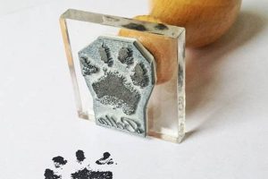 Personalized Custom Paw Print Stamps & More Old Stamp Collecting Guide: Discover, Value & Preserve Vintage Stamps Personalized Custom Paw Print Stamps & More | Old Stamp Collecting Guide: Discover, Value & Preserve Vintage Stamps