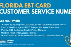 DC Food Stamp Customer Service: SNAP Benefits Helpline | Old Stamp Collecting Guide: Discover, Value & Preserve Vintage Stamps