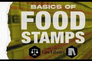 Find Marietta, GA Food Stamp Office Locations | Old Stamp Collecting Guide: Discover, Value & Preserve Vintage Stamps