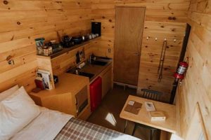 Postcard Cabins Hill Country | Old Stamp Collecting Guide: Discover, Value & Preserve Vintage Stamps