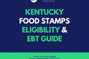 KY Food Stamp Eligibility Guide & Application Old Stamp Collecting Guide: Discover, Value & Preserve Vintage Stamps KY Food Stamp Eligibility Guide & Application | Old Stamp Collecting Guide: Discover, Value & Preserve Vintage Stamps