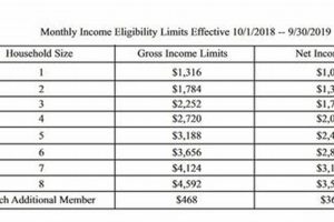 Alabama Food Stamp Eligibility Guide & FAQs Old Stamp Collecting Guide: Discover, Value & Preserve Vintage Stamps Alabama Food Stamp Eligibility Guide & FAQs | Old Stamp Collecting Guide: Discover, Value & Preserve Vintage Stamps