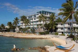 Postcard Inn Fl Keys | Old Stamp Collecting Guide: Discover, Value & Preserve Vintage Stamps