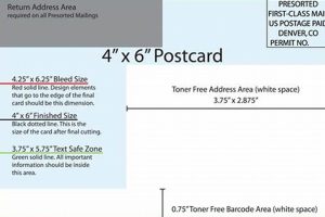 Postcard Mailer Template | Old Stamp Collecting Guide: Discover, Value & Preserve Vintage Stamps