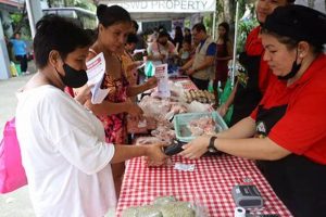 Houston Zoo Food Stamp Program | Old Stamp Collecting Guide: Discover, Value & Preserve Vintage Stamps