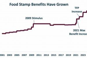 SNAP Benefits Increase: A Lifeline for Families | Old Stamp Collecting Guide: Discover, Value & Preserve Vintage Stamps