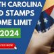 NC Food Stamp Guide: Benefits & Eligibility | Old Stamp Collecting Guide: Discover, Value & Preserve Vintage Stamps
