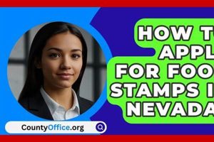 Nevada EBT Card Guide &amp; Application | Old Stamp Collecting Guide: Discover, Value & Preserve Vintage Stamps