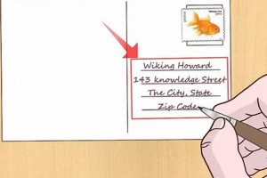 Where To Put Address On A Postcard | Old Stamp Collecting Guide: Discover, Value & Preserve Vintage Stamps