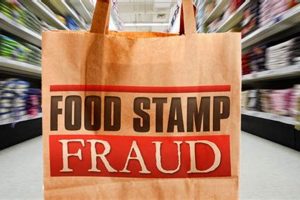 Combating Georgia Food Stamp Fraud & Abuse | Old Stamp Collecting Guide: Discover, Value & Preserve Vintage Stamps
