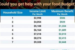 Hawaii Food Stamp Eligibility | Old Stamp Collecting Guide: Discover, Value & Preserve Vintage Stamps