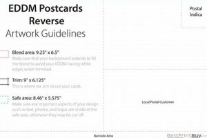 Pro EDDM Postcard Guidelines: Design & Mailing | Old Stamp Collecting Guide: Discover, Value & Preserve Vintage Stamps