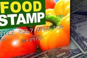 West Virginia Food Stamp Card | Old Stamp Collecting Guide: Discover, Value & Preserve Vintage Stamps