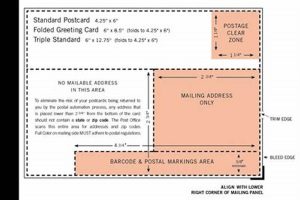 Mastering USPS Postcard Restrictions: A Guide | Old Stamp Collecting Guide: Discover, Value & Preserve Vintage Stamps