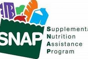 Find Your Greeley Food Stamp Office Location | Old Stamp Collecting Guide: Discover, Value & Preserve Vintage Stamps