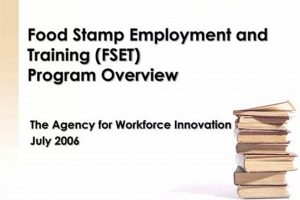 Florida Food Stamp Jobs & Training Programs | Old Stamp Collecting Guide: Discover, Value & Preserve Vintage Stamps