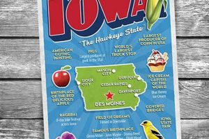 Vintage Iowa Postcards: History in Your Hands Old Stamp Collecting Guide: Discover, Value & Preserve Vintage Stamps Vintage Iowa Postcards: History in Your Hands | Old Stamp Collecting Guide: Discover, Value & Preserve Vintage Stamps