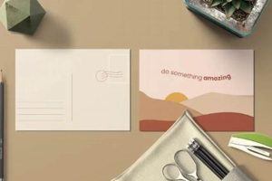 Fast Same Day Postcard Printing & Mailing | Old Stamp Collecting Guide: Discover, Value & Preserve Vintage Stamps