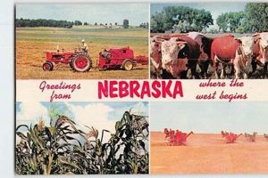 Vintage Postcards from Nebraska: Scenic Views | Old Stamp Collecting Guide: Discover, Value & Preserve Vintage Stamps