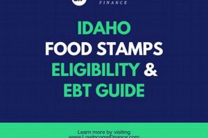 Idaho Food Stamp: Your Guide &amp; Resources | Old Stamp Collecting Guide: Discover, Value & Preserve Vintage Stamps
