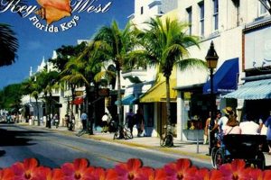 Vintage Key West Postcards: Souvenirs & History | Old Stamp Collecting Guide: Discover, Value & Preserve Vintage Stamps