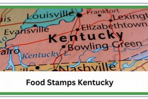 Find Your Kentucky Food Stamp Number & Benefits | Old Stamp Collecting Guide: Discover, Value & Preserve Vintage Stamps