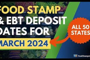 Indiana Food Stamp Dates 2024: EBT Schedule | Old Stamp Collecting Guide: Discover, Value & Preserve Vintage Stamps