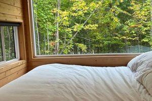 Discover Dreamy Postcard Cabins in MN Today! | Old Stamp Collecting Guide: Discover, Value & Preserve Vintage Stamps