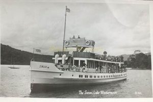 Real Postcard | Old Stamp Collecting Guide: Discover, Value & Preserve Vintage Stamps