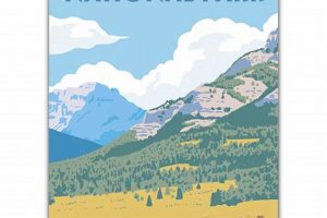 Yellowstone Postcard | Old Stamp Collecting Guide: Discover, Value & Preserve Vintage Stamps