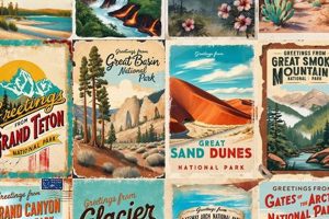 Vintage National Park Postcard Sets for Collectors | Old Stamp Collecting Guide: Discover, Value & Preserve Vintage Stamps
