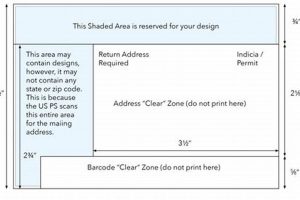 USPS Postcard Regulations: A 2024 Guide | Old Stamp Collecting Guide: Discover, Value & Preserve Vintage Stamps